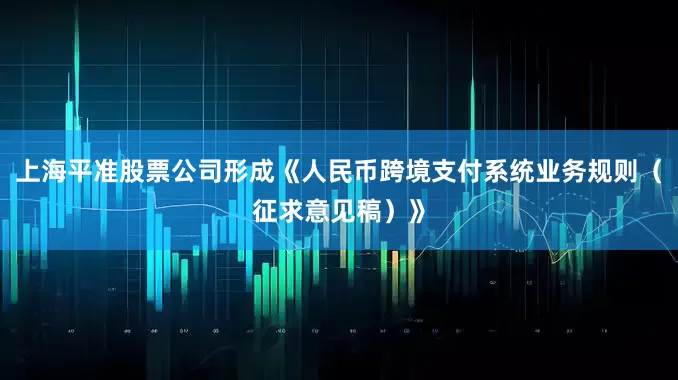 上海平准股票公司形成《人民币跨境支付系统业务规则（征求意见稿）》