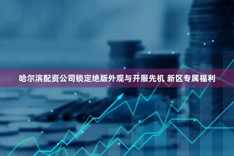 哈尔滨配资公司锁定绝版外观与开服先机 新区专属福利