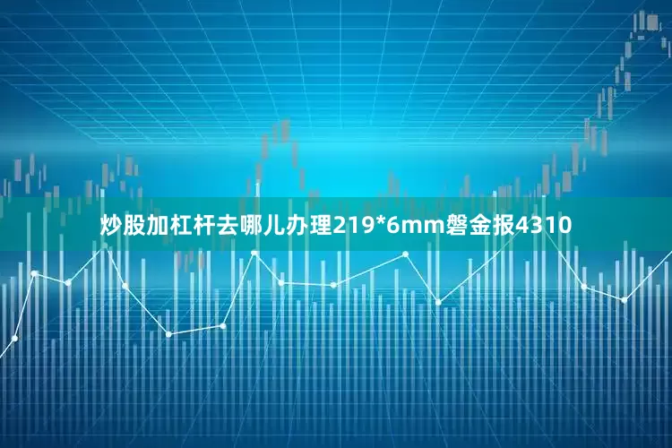 炒股加杠杆去哪儿办理219*6mm磐金报4310