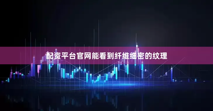 配资平台官网能看到纤维细密的纹理